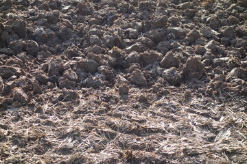 春の地面のテクスチャ