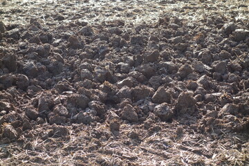 春の地面のテクスチャ