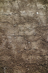 春の地面のテクスチャ