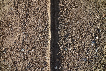 春の地面のテクスチャ