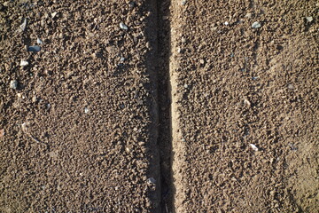 春の地面のテクスチャ