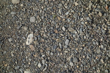 春の地面のテクスチャ