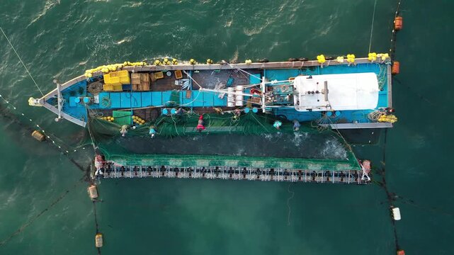 South Korea Yeosu Fishing Boat (Mackerel) Trawling in the Open Sea Aerial View - 한국 여수 먼바다에서 삼치 조업 중인 어선-003