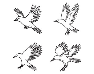 Flying birds and ravens in profile, approaching, monochrome line art hand drawn style