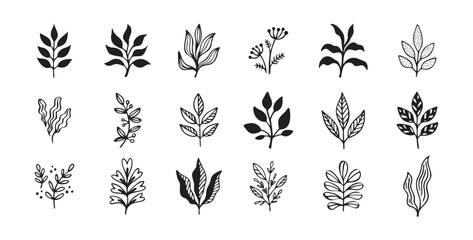 Hand drawn outline doodle floral elements leaf set. Plant leaves vector design