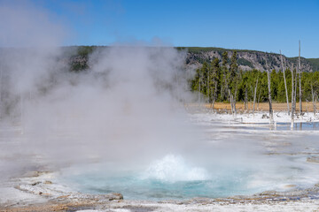 Black Sand Basin is one of a grouping of geothermal hot springs and geysers. Upper Geyser Basin, Yellowstone National Park, Wyoming. Hydrothermal System. hot-spring deposits. 
