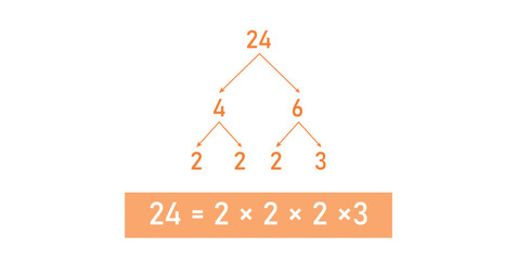 Prime Factor Tree of 24 in mathematics.