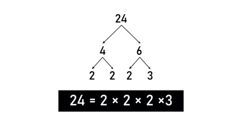 Prime Factor Tree of 24 in mathematics.