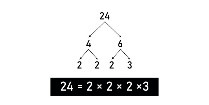 Prime Factor Tree of 24 in mathematics.