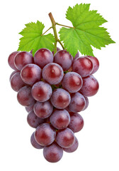Fototapeta premium Fresh red grape bunch with green leaves isolated on transparent background