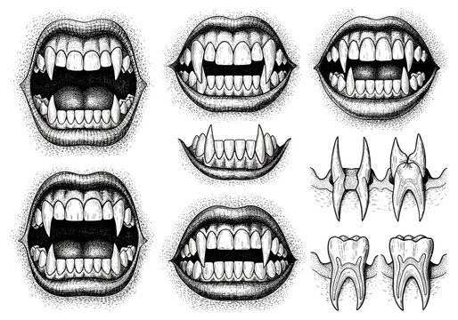 Vampire teeth collection, engraving sketch, black-and-white vector art for Halloween design