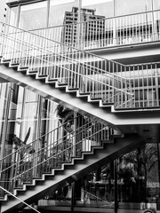 兵庫県神戸市の中心市街地をモノクロで撮影