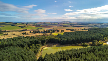 Diverse Rural Landscape with Pine Forest, Agricultural Fields, and Water Body