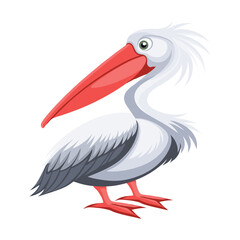 Pelican isolated on white background. Fauna. Illustration.