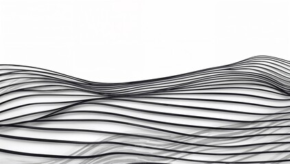 Obraz premium A Minimalist Black and White Background of Flowing Abstract Ribbons.