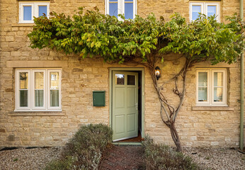 Traditional stone cottage entrance with open green door and leafy vine growing over wall. Cotswolds countryside, England