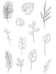Hand drawn set of various botanical leaf sketches.