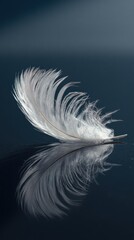 Obraz premium Delicate white feather, gracefully balanced and mirrored, on a smooth, dark blue surface