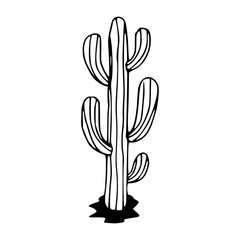 Obraz premium saguaro cactus line art illustration