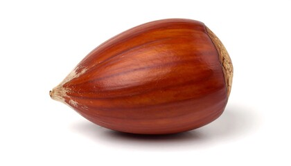 Single chestnut on white background