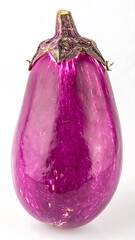 Single purple eggplant