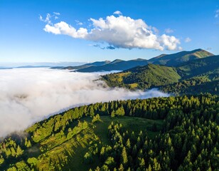 Forested mountains rise above valley filled with white fog
