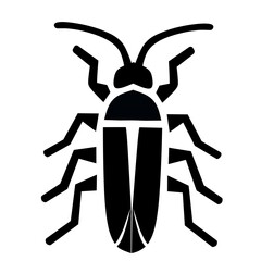 black and white beetle