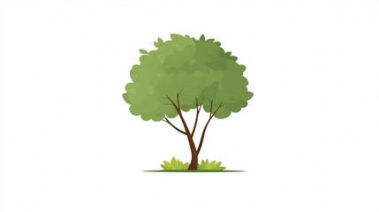 Obraz premium A stylized illustration of a green leafy tree with a brown trunk and a small patch of grass at its base, set against a white background.