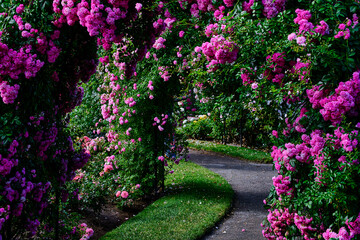 Fototapeta premium An archway made up of flowers