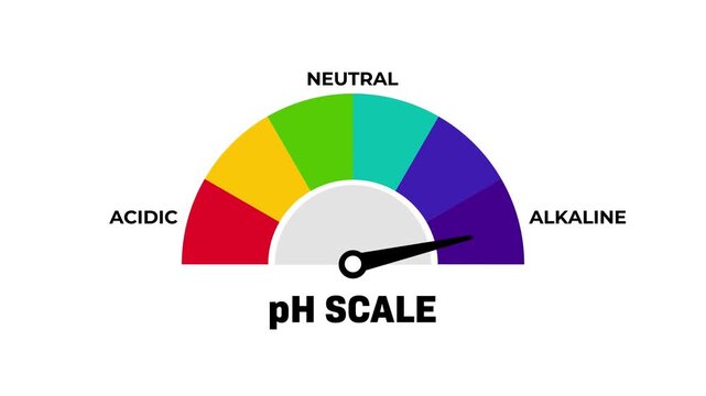 pH Scale Indicator Gauge Animation Acidic, Neutral, Alkaline