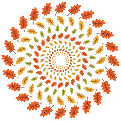A spiral pattern made of autumn oak leaves in orange, yellow, and green tones forming a circular mandala design on a white background.