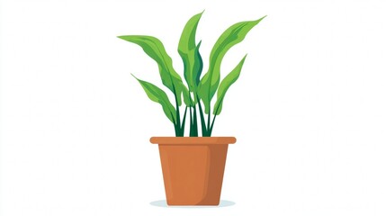 Fototapeta premium Fresh rosemary houseplant growing in a green decorative flowerpot on a white background, perfect for botany and home decoration