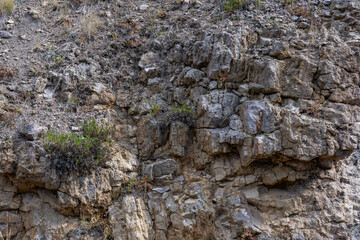Plateau Rhyolite - Central Plateau Member - Nez Perce Creek flow. Grand Loop Rd,  Yellowstone National Park, Wyoming.   near  Firehole Canyon Road / Firehole river