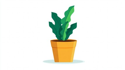 Obraz premium Green houseplant in a flowerpot for home decoration, showcasing fresh leaves and healthy growth