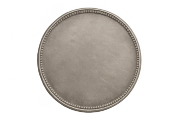 Blank silver coin template with textured metal frame