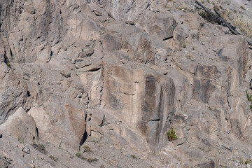 Lava Creek Tuff of Yellowstone Group - Member A. Grand Loop Rd, near Gibbon river, Yellowstone National Park, Wyoming.  