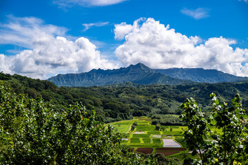 Valley of Clouds and Fields