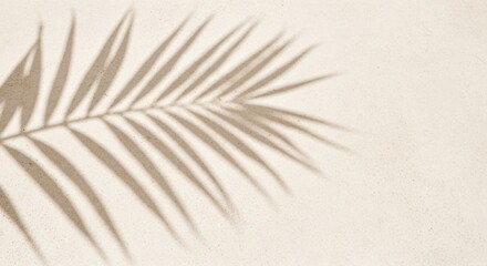 Aesthetic palm leaf shadow cast on a light beige wall creating a minimalist and tropical vibe scene design
