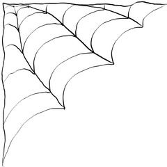 Spider Web on Corner Edge