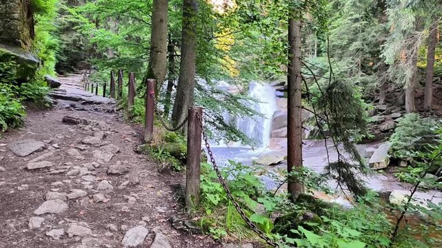 Explore a scenic forest trail leading to a tranquil waterfall, fully immersing yourself in natures beauty