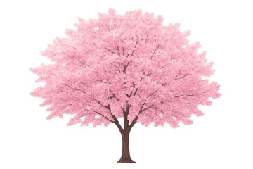 Obraz premium Cherry blossom tree blooming in pink with transparent background