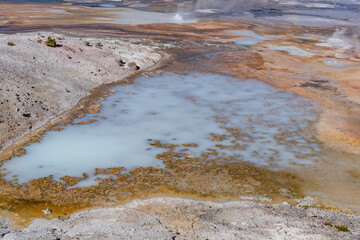 Porcelain Basin subbasin of Norris Geyser Basin, Yellowstone National Park, Wyoming.  Norris is one of the hottest and most acidic of Yellowstone’s hydrothermal areas. hot springs and fumaroles.