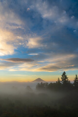 Naklejka premium 甘利山から朝焼けの雲海に浮かぶ富士山