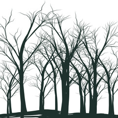 silhouette of a tree in the park