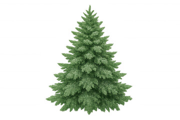 Fototapeta premium Christmas pine tree with green textured needles, celebrating winter holidays and nature, on a transparent background
