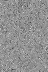 Fototapeta premium Intricate black and white abstract swirling maze pattern
