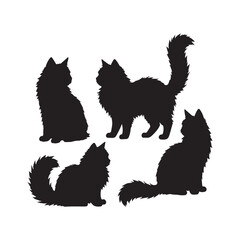 Furry cats silhouette white background