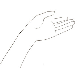 Woman's hand holding her hand Line drawing illustration