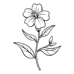  lobelia inflata line art vector on white background