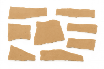 Brown kraft paper pieces with torn edges, ripped cardboard texture, and ragged recycled background elements